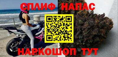 ГАЛЛЮЦИНОГЕННЫЕ ГРИБЫ Сланцы