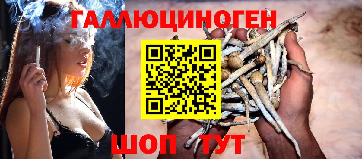 Псилоцибиновые грибы мухоморы  Псилоцибиновые грибы мицелий  Партизанск  Вход с VPN 
